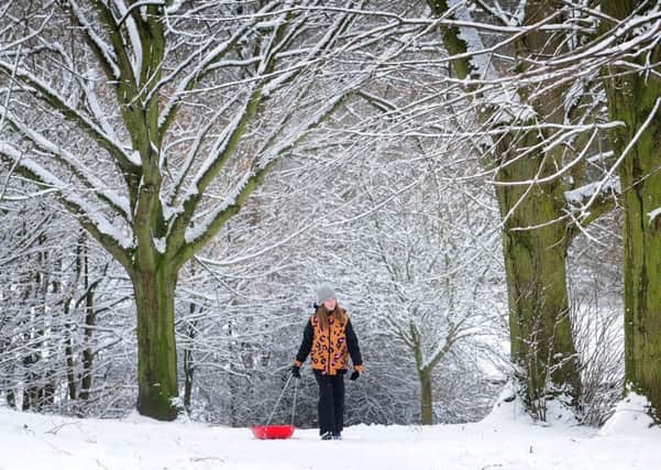 Fleur Hulme, ten, walks through the trees with her sledge at Rothwell Park in Leeds.