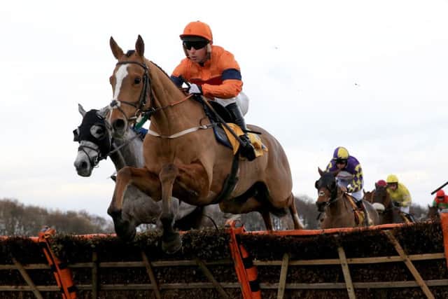 Sam Spinner, ridden by Joe Colliver, clears the last hrdle to win the Betfair Stayers' Handicap Hurdle Race at Haydock in November. PIC: Clint Hughes/PA Wire