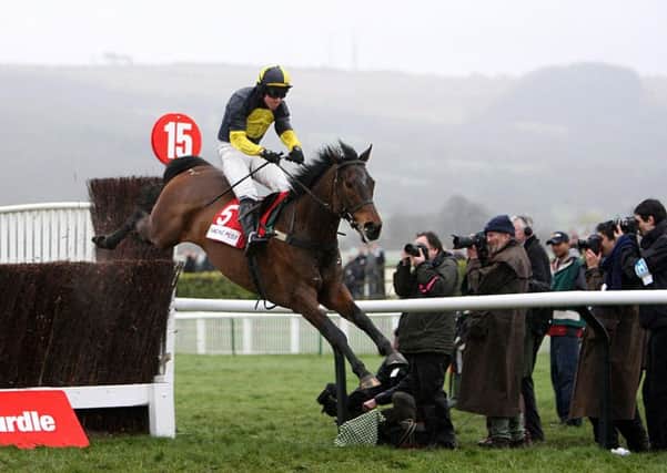 Mister McGoldrick and Dominic Elsworth clear the last in the Racing Post Plate at Cheltenham in March 2008.