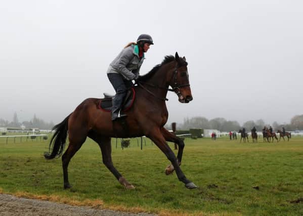 Douvan on the gallops during a preview day ahead of the 2018 Cheltenham Festival. PIC: David Davies/PA Wire