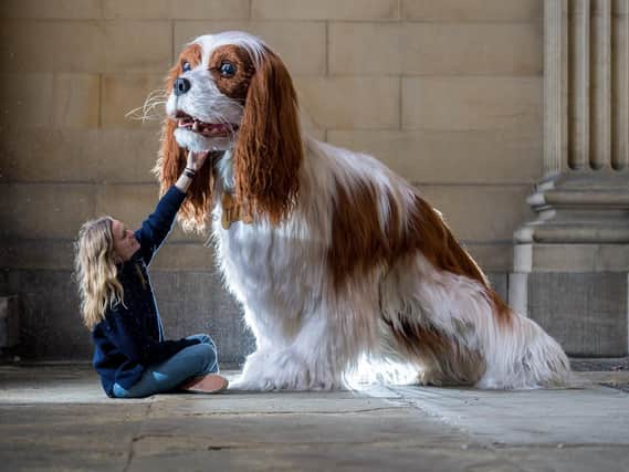 Caitlin Fogarty, admiring the giant 5.5ft tall Cavalier King Charles Spaniel at Leeds Town Hall.
