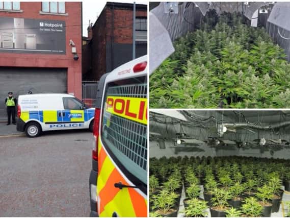 Cannabis factories growing vast volumes of the drug have been found in Leeds over the last 10 years.