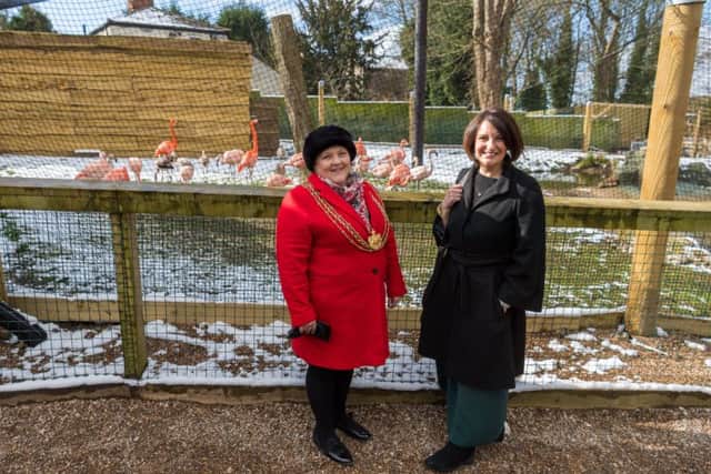 Date: 19th March 2018.
Picture James Hardisty.
Official opening of the new Humboldt Penguins and Chilean Flamingos encloures at Lotherton Hall, Bird Garden, near Leeds. Pictured Lord Mayor of Leeds Councillor Jane Dowson, with councillor Lucinda Yeadon, admiring the new Flamingos encloure.