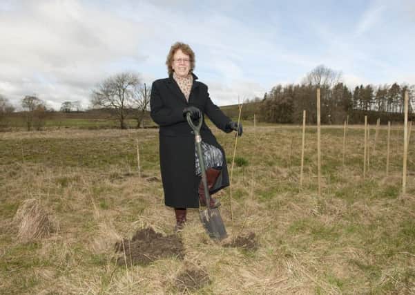 The leader of Leeds Council, Councillor Judith Blake plants the first tree in Gargrave as part of a pilot scheme to protect Leeds from flooding through natural management.