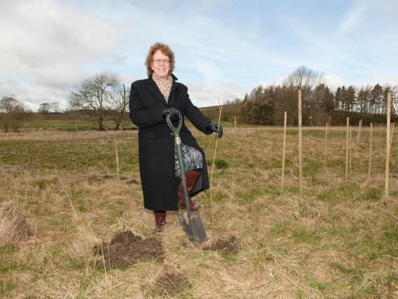 The leader of Leeds Council, Councillor Judith Blake plants the first tree in Gargrave as part of a pilot scheme to protect Leeds from flooding through natural management.