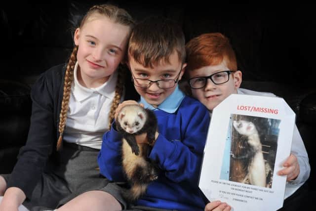 REUNITED: Oliver, Katie and Alfie Dawson with their pet ferret, called Freda, who went missing from their East Ardsley home for six nights. PIC: Tony Johnson