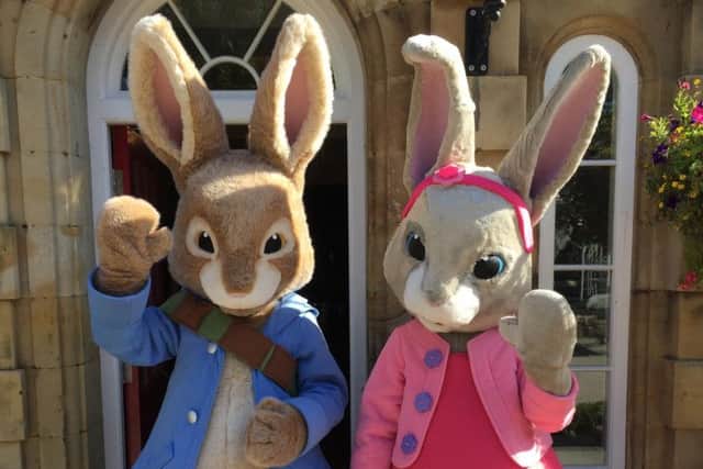 Peter Rabbit Adventure playground - with twice daily character appearances