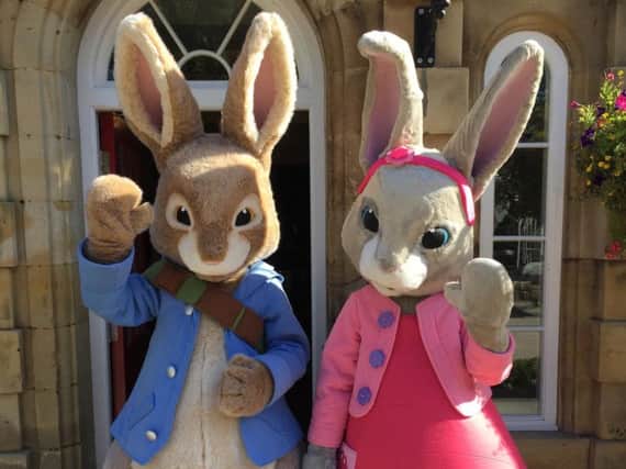 Peter Rabbit Adventure playground - with twice daily character appearances