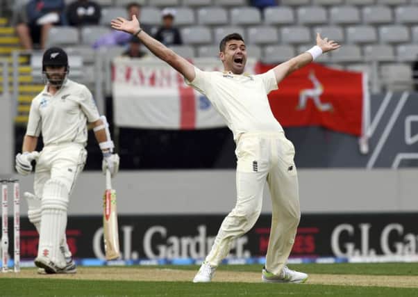 Got him: England's James Anderson successfully appeals for lbw against New Zealand century-maker Kane Williamson. Picture: AP Photo/Ross Setford