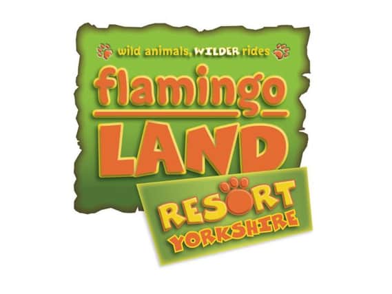 Family fun days with our Flamingo Land half price offer