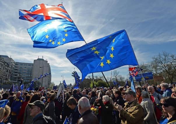 Placards and flags are held in rally against Brexit. Pic PA