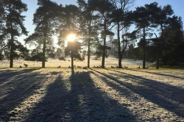 Highs of 19C were expected in parts of Britain.