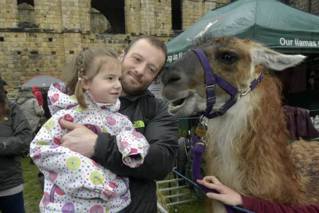 Upper Nidderdale in the City event at Kirkstall Abbey. Daniel Duggan  and daughter Eve, three of Great Preston meet the Llama