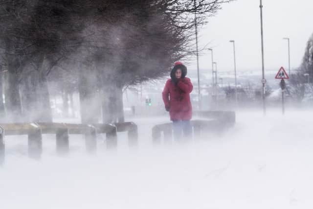 Valerie Hart, of Leeds, braving the conditions whilst walking up Scott Hall Road, Leeds when the Beast from the East hit last month.
Picture James Hardisty.