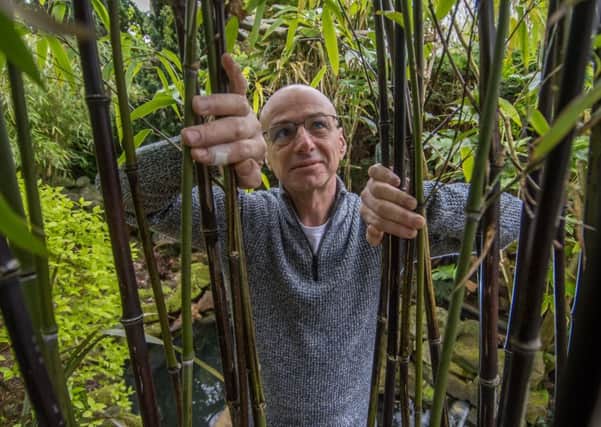 Date: 23rd April 2018.
Picture James Hardisty.
Nick Wilson, of Gledhow Wood Avenue, Roundhay, Leeds, in his Jungle Garden, which is opened to the public.