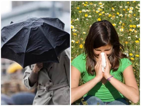 A mix of high pollen and rain will make for a strange weekend in Yorkshire.