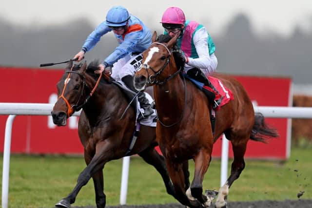 Crossed Baton, ridden by Robert Havlin, winning at Kempton in March. PIC: Steven Paston/PA Wire