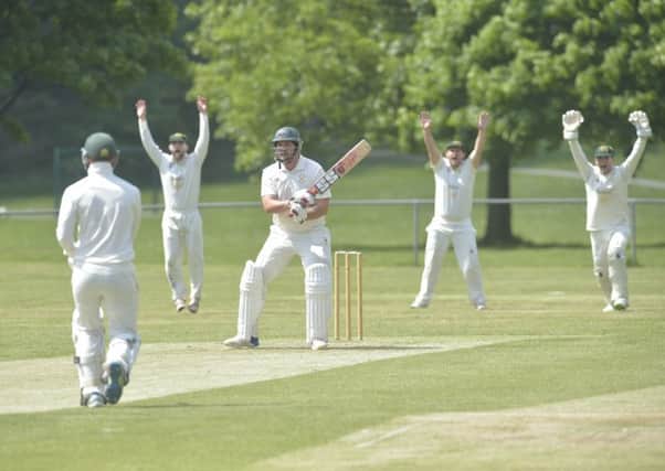 Nishant Desai, for Collingham, gets the wicket of Hall Park's Marco Wyngard (lbw) during Saturday's second division encounter won by hosts Horsforth by 15 runs. PIC: Steve Riding