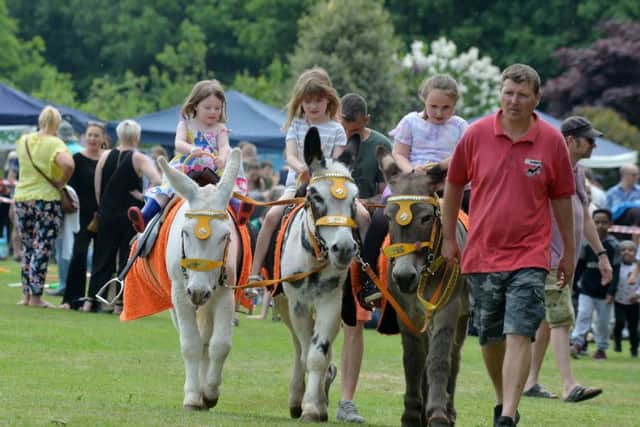 Donkey rides at Meanwood Festival Fun Day.
28 May 2018. Picture Bruce Rollinson