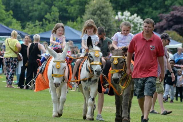 Donkey rides at Meanwood Festival Fun Day.
28 May 2018.  Picture Bruce Rollinson