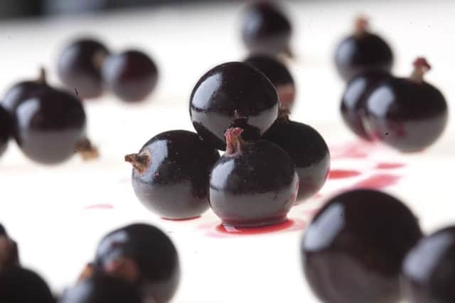 Leeds University has developed a new way to use blackcurrant waste created during Ribena manufacture to make hair dye