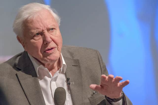 The nation’s sweetheart, Sir David Attenborough, has finally joined social media platform Instagram, gaining a multitude of followers within minutes (Photo: Richard Stonehouse/Getty Images)